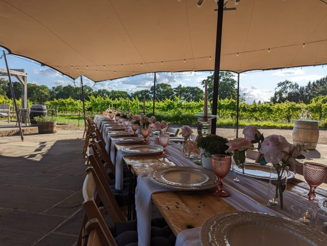 Drinks & Nibbles on the Terrace Drinks & Nibbles on the Terrace